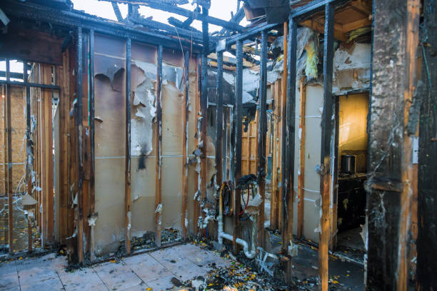 Professional Fire Damage Removal technician working in Bethel, MN